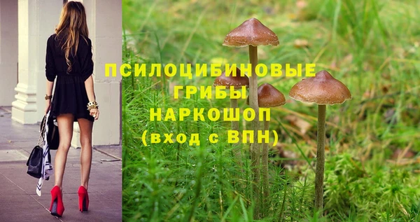 соль курить ск Алексин