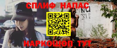 прущие грибы Сланцы