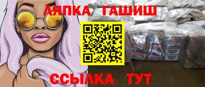 прущие грибы Сланцы