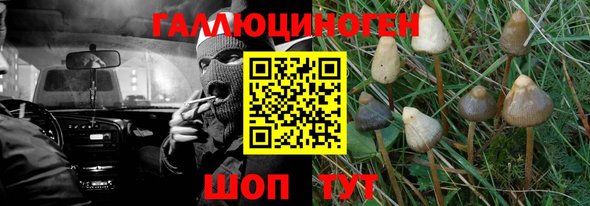 Псилоцибиновые грибы прущие грибы Тольятти